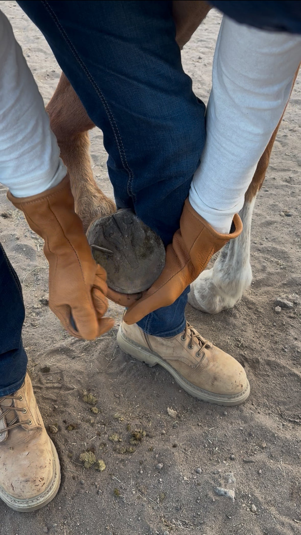 Thurlow Deerskin Gauntlet