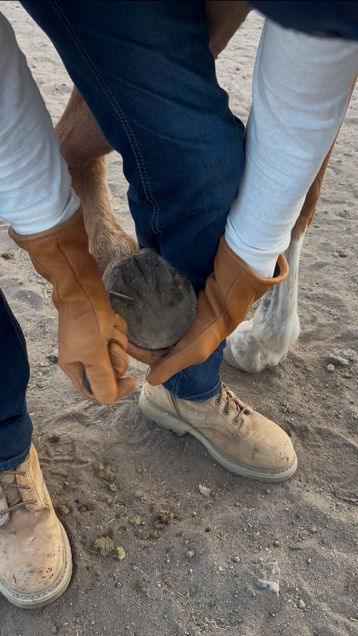 Thurlow Deerskin Gauntlet