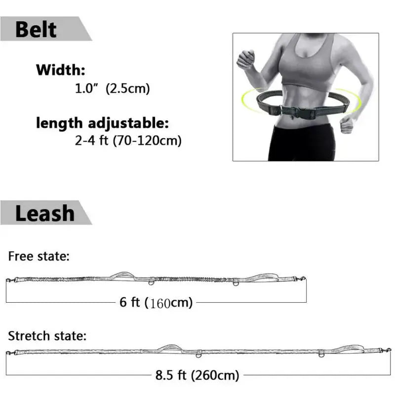GlowBright Pet Leashes