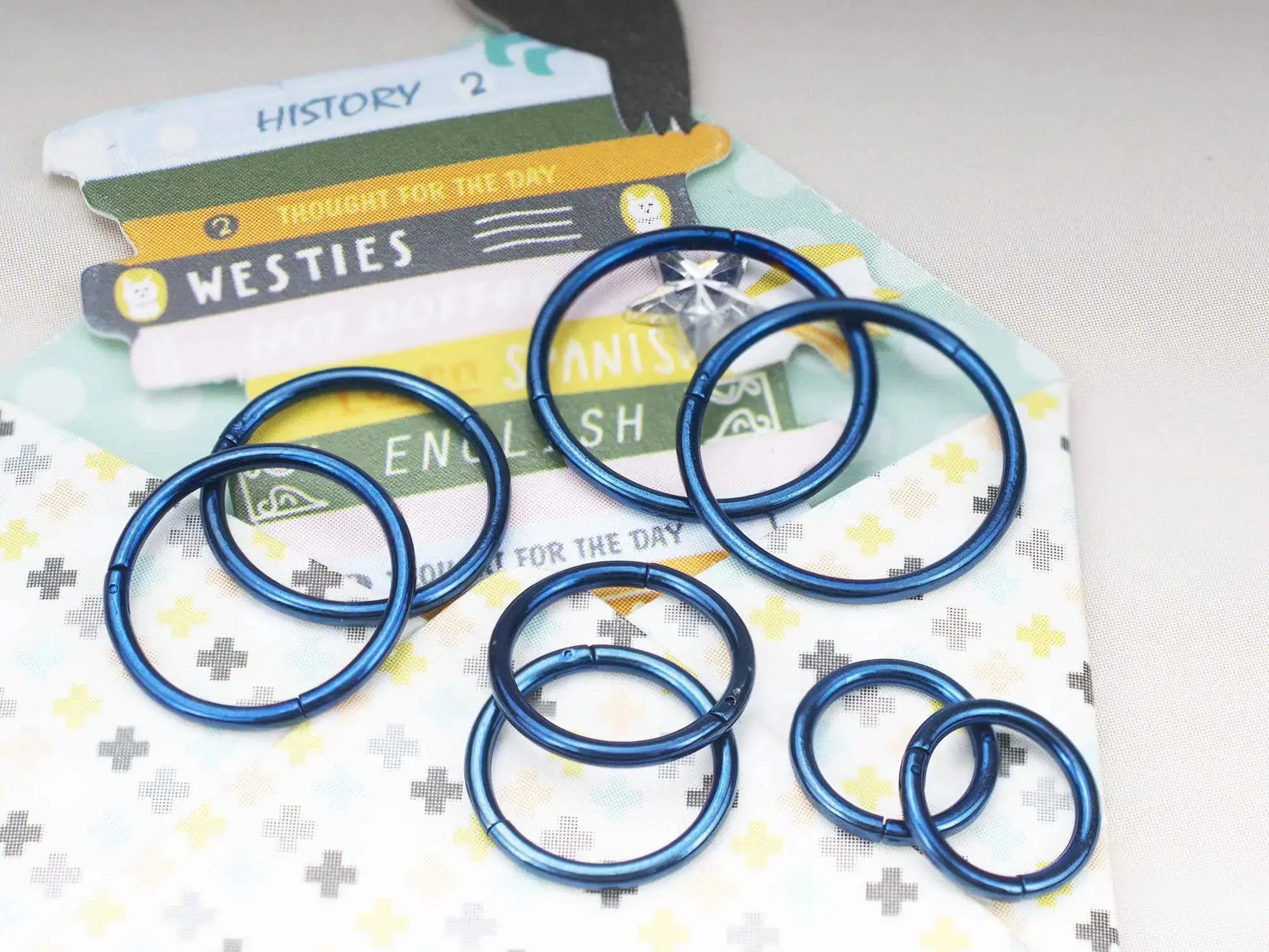 HQLA Surgical Steel Hinged Clicker Segment Nose Rings | Hoop Helix Cartilage Daith Tragus Sleeper Earrings Women & Men