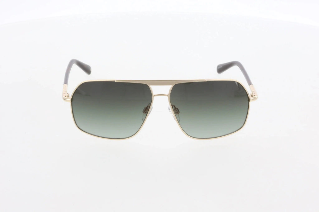 Hawk 2202 01 Sunglasses for Men