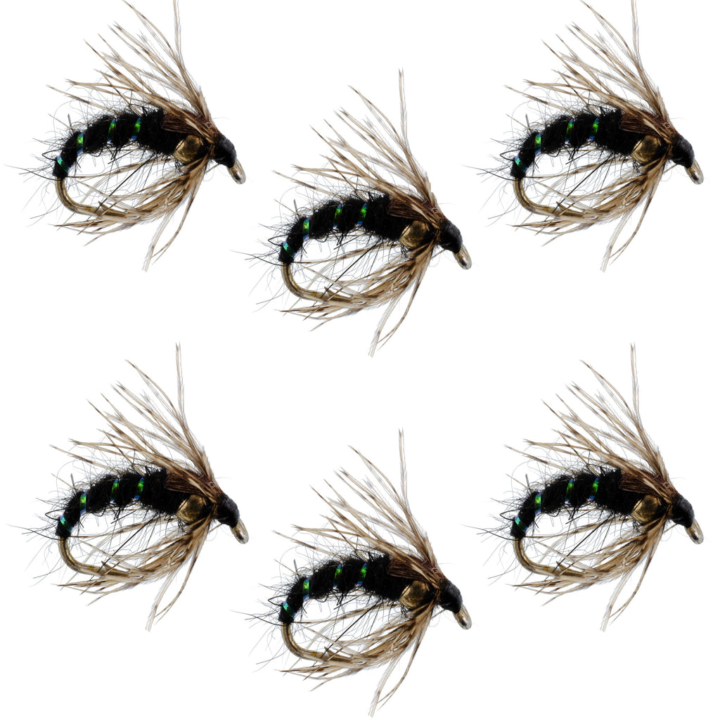 Black Holy Grail Caddis Pupa Emerger 6 Flies Hook Size 16