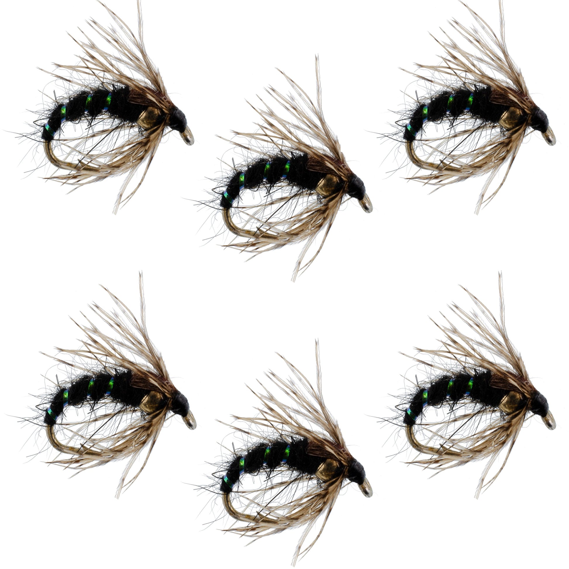 Black Holy Grail Caddis Pupa Emerger 6 Flies Hook Size 16