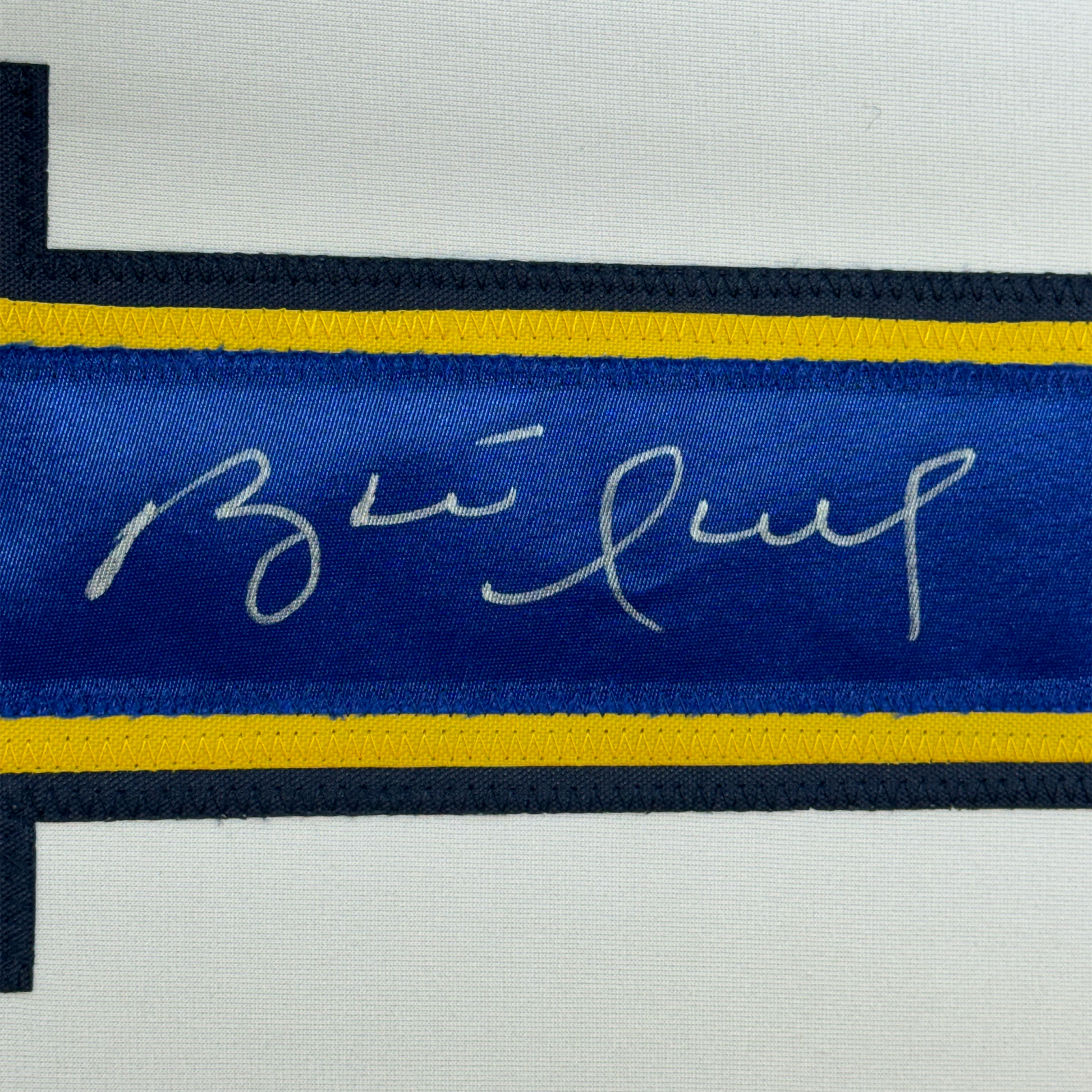 Framed Autographed/Signed Brett Hull 35x39 St. Louis White Hockey Jersey JSA COA