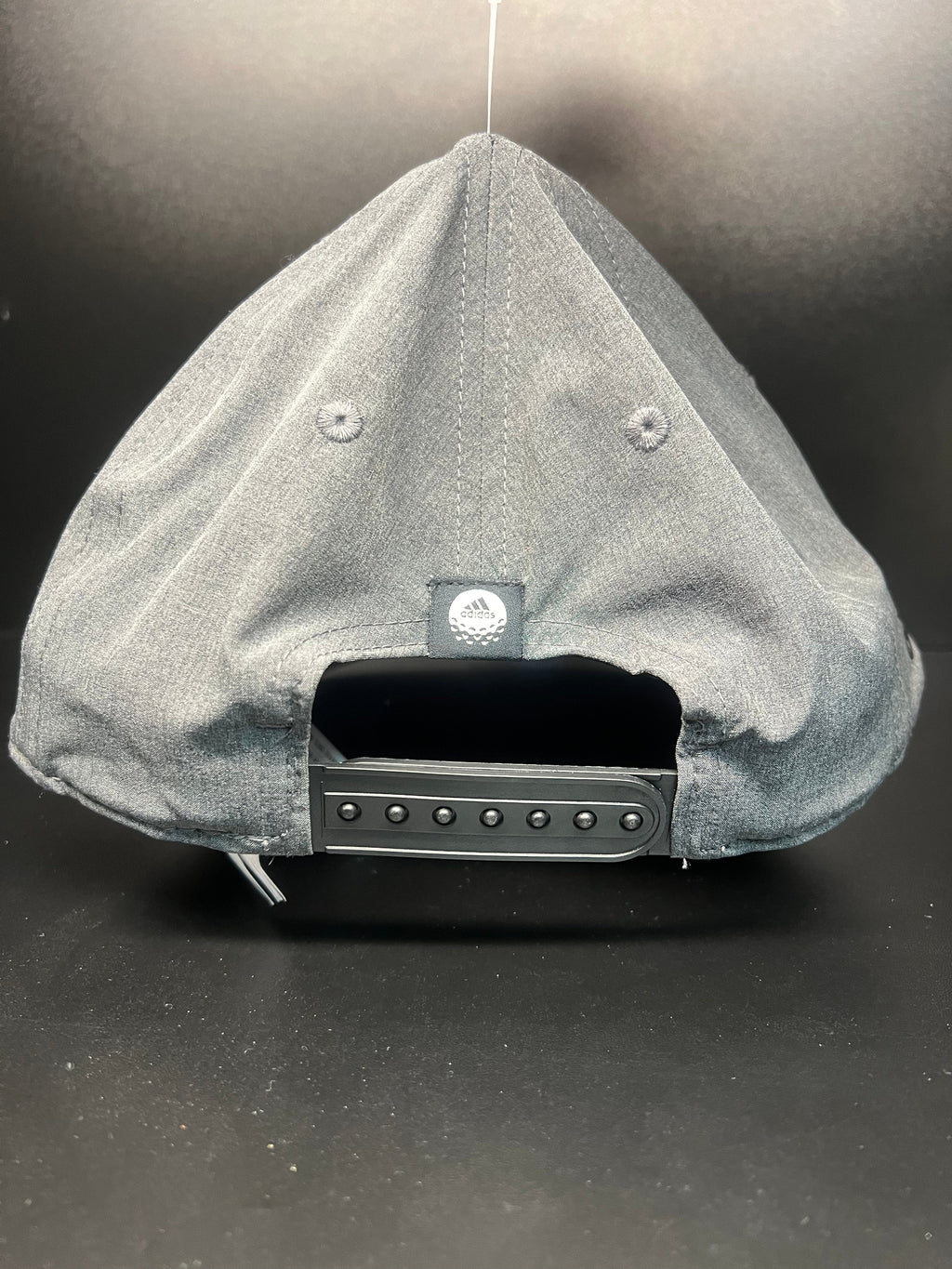 PDX Skyline SnapBack