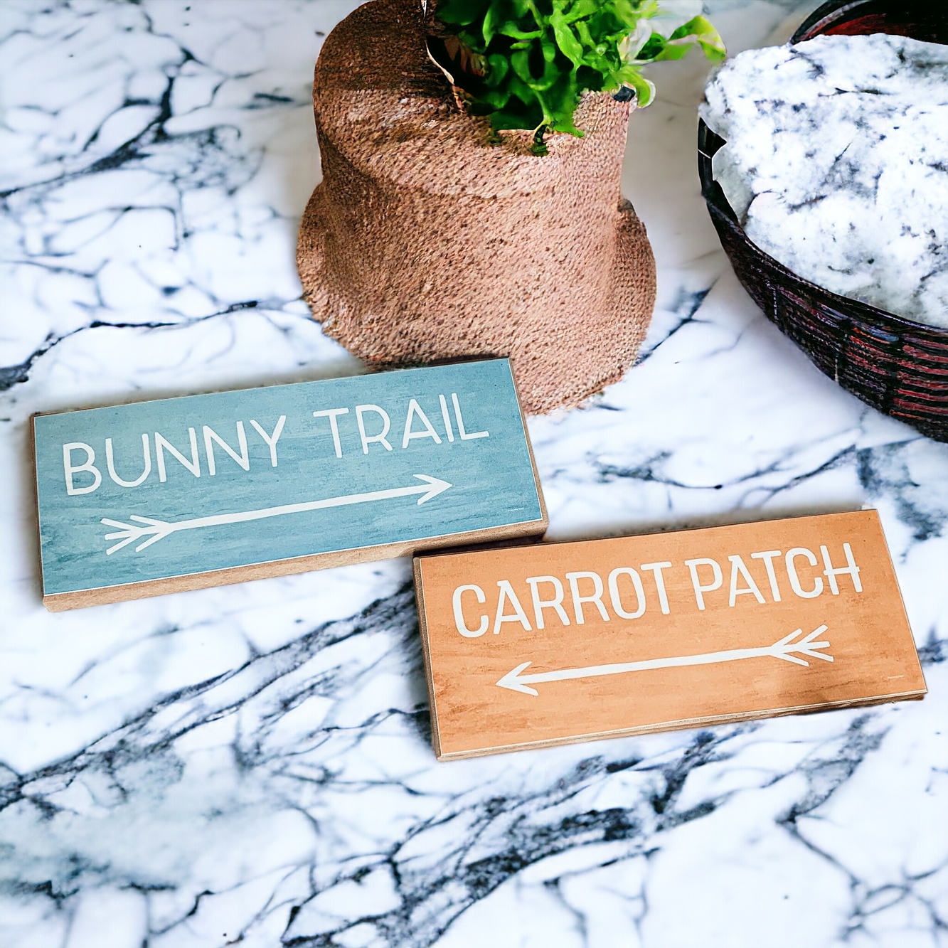 Limited Bunny Trail Carrot Patch Wooden Easter Signs Pastel Spring Decor
