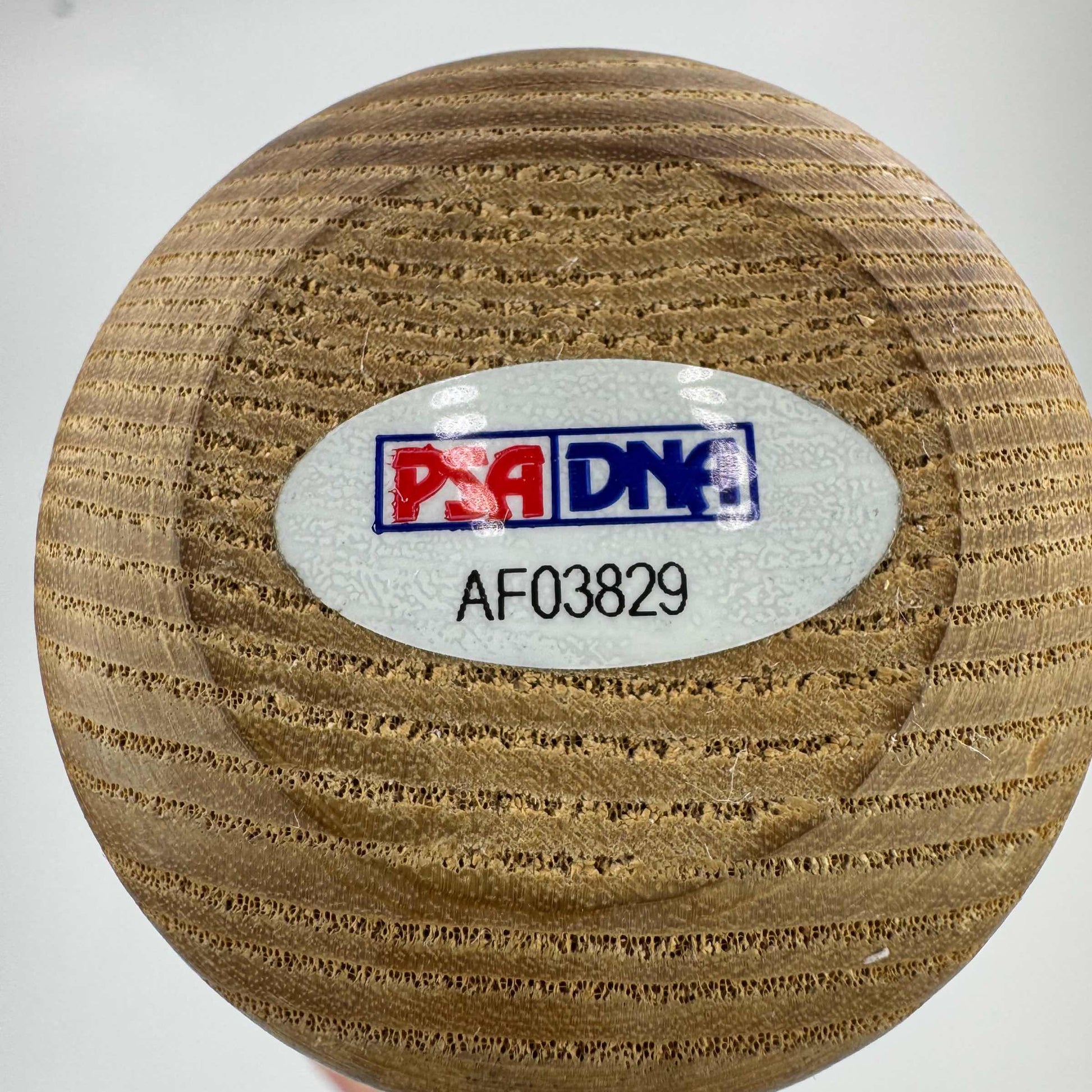 RARE 300 Win Club 9 Sigs Autographed/Signed Baseball Bat Tom Seaver, Nolan Ryan, Clemens, Sutton, Carlton, Niekro, Perry, Spahn & Wynn PSA/DNA