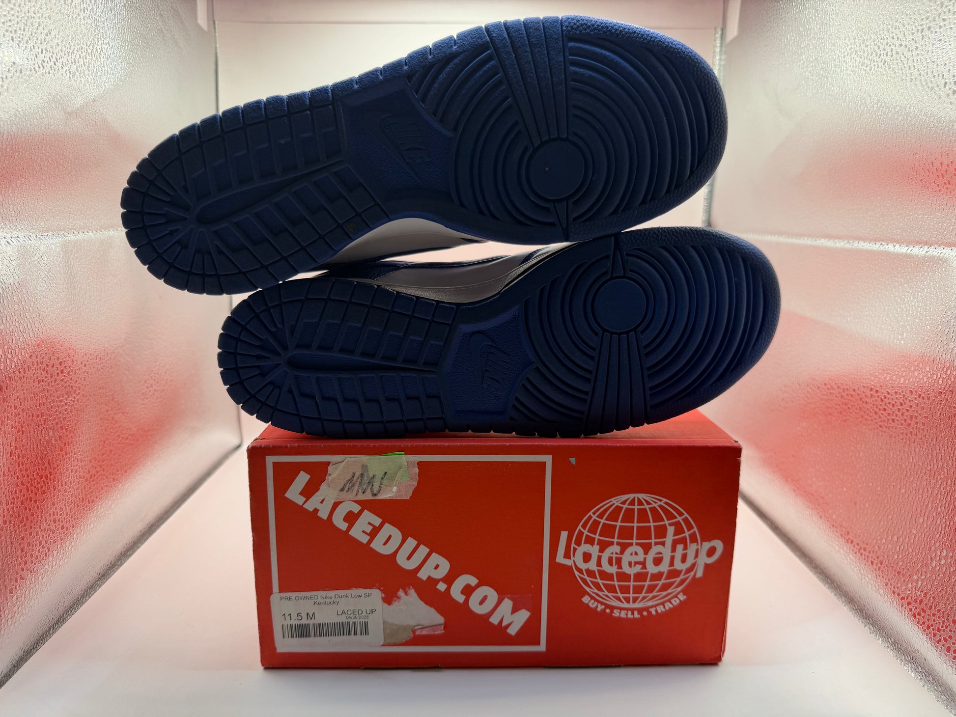 PRE OWNED Nike Dunk Low SP Kentucky