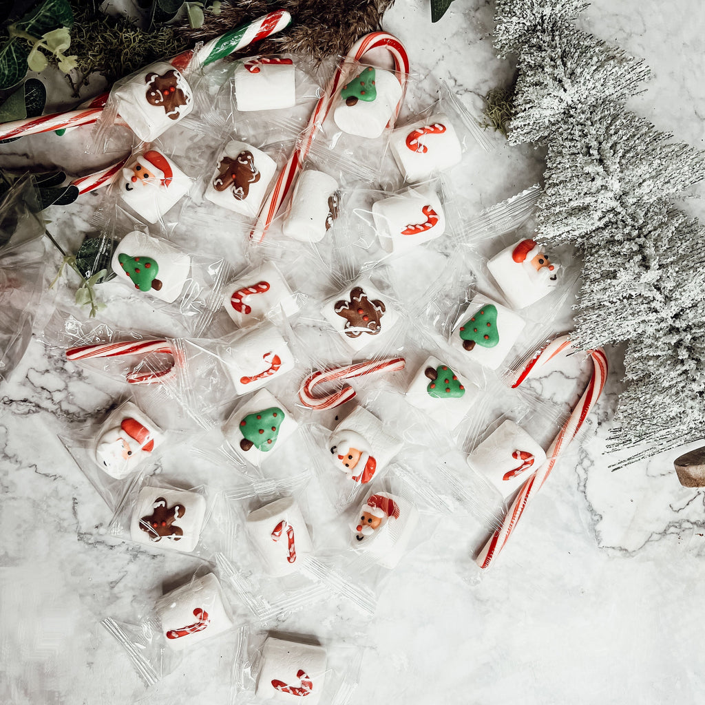 Gourmet Vanilla Marshmallows 24 Pack Individually Wrapped Soft Fluffy Hot Chocolate Toppers Gift