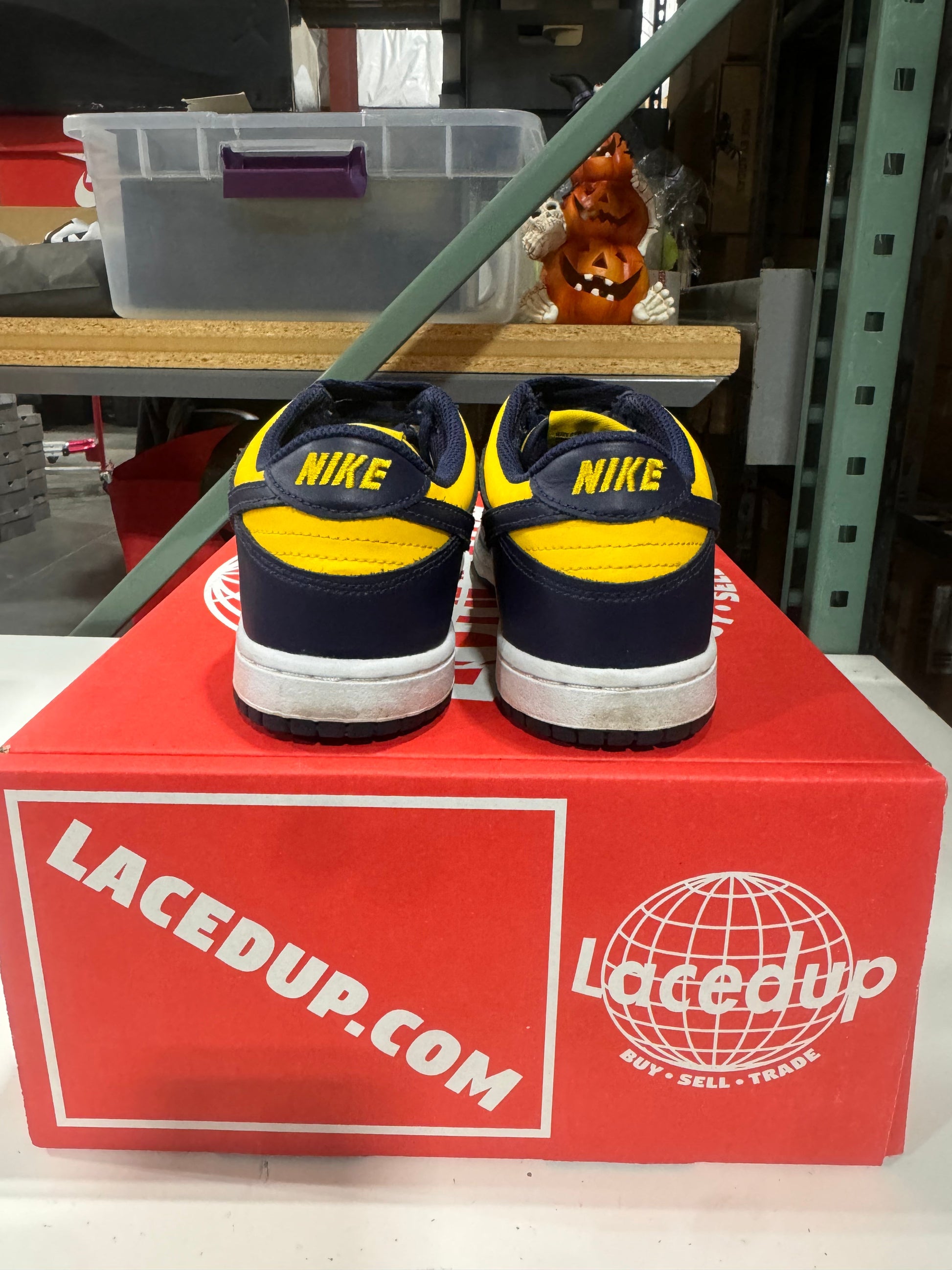 PRE OWNED Nike Dunk Low Michigan (2021/2024) (GS)