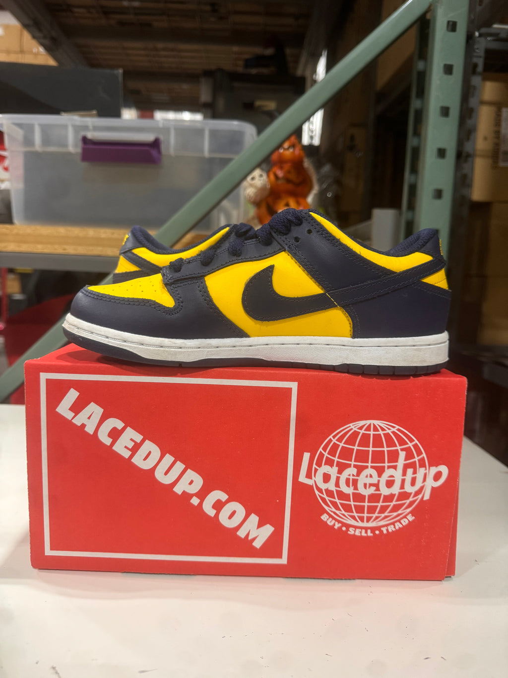 PRE OWNED Nike Dunk Low Michigan (2021/2024) (GS)