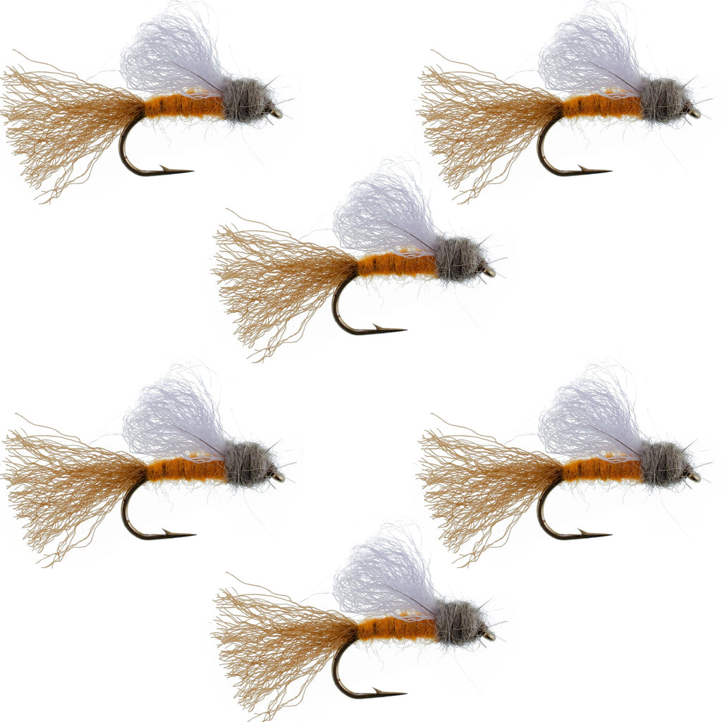 Orange Iris October Caddis Emerger Caddis  Trout Dry Fly - 6 Flies Hook Size 8