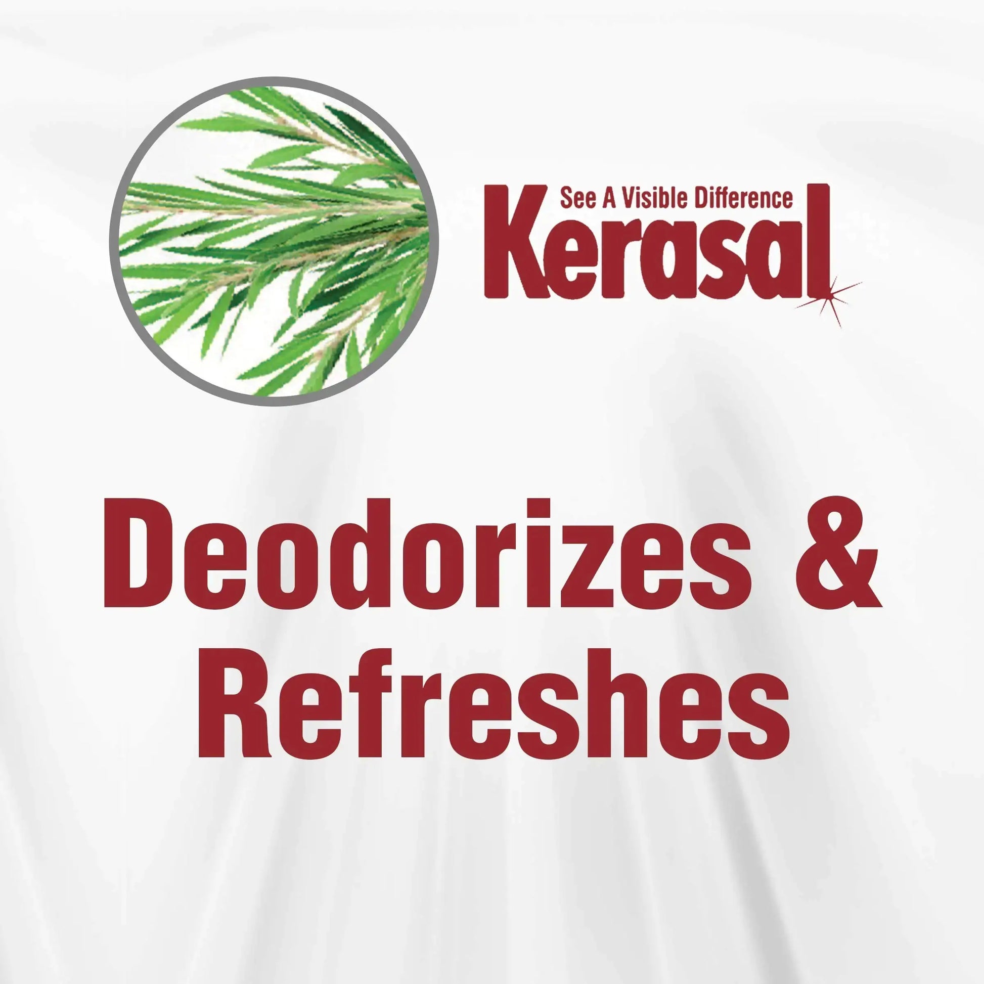 Kerasal Daily Defense Foot Wash Daily Cleanser for Feet, 12 Ounce 12 Fl Oz (Pack of 1)