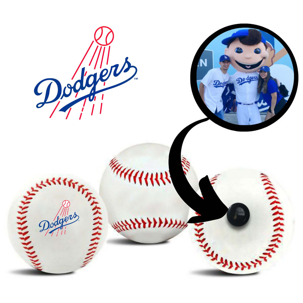 Los Angeles Dodgers MLB Baseball