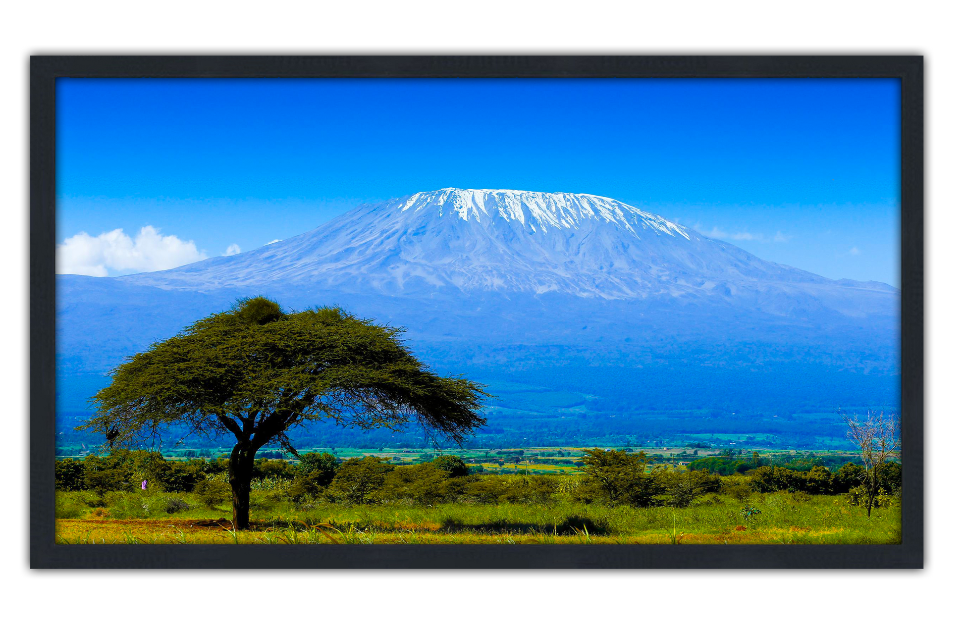 Professionally Framed Mount Kilimanjaro Africa Skyline High-Resolution Panoramic Photo 12x22 Wall Art