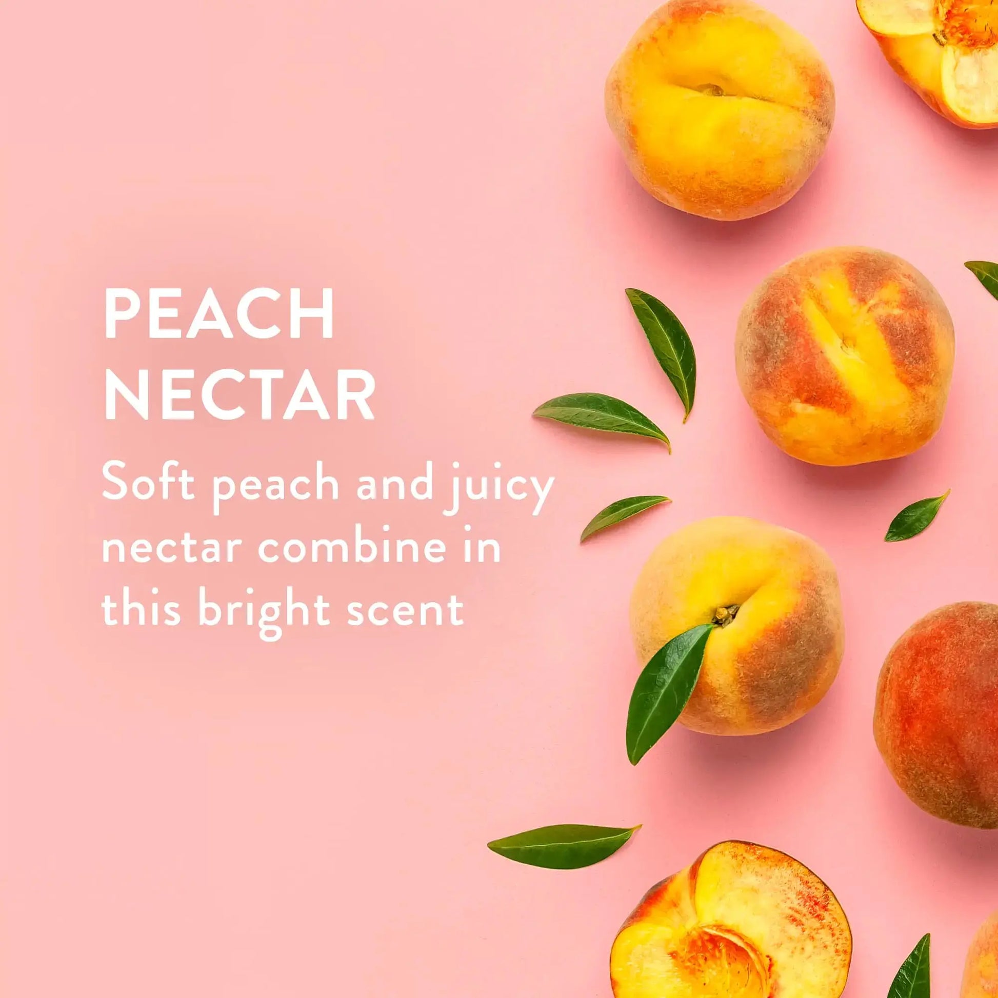 Native Deodorant - Sweet Peach & Nectar | Natural & Aluminum-Free