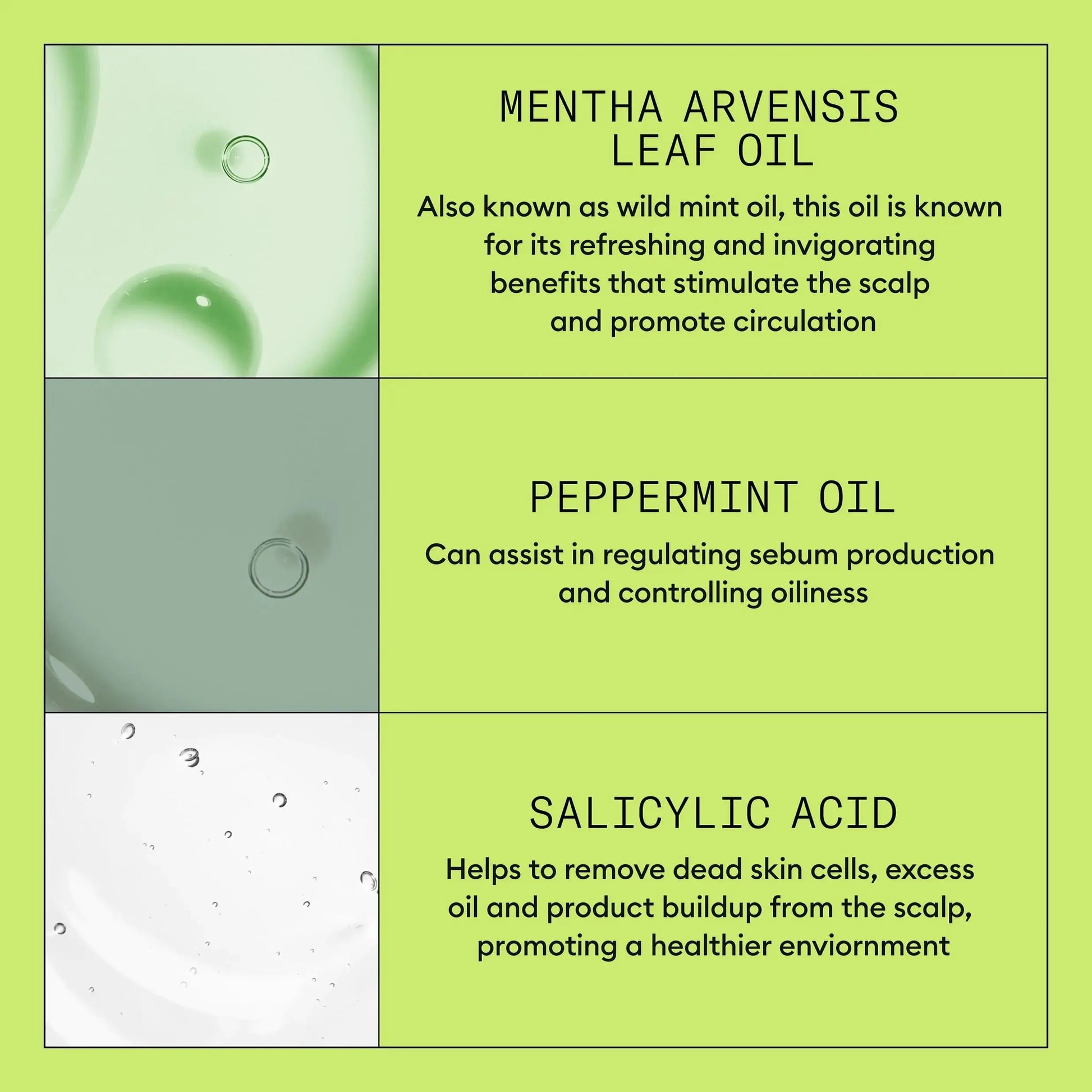 Nioxin System 2 Scalp Cleansing Shampoo with Peppermint Oil – For Dry & Sensitive Natural Hair