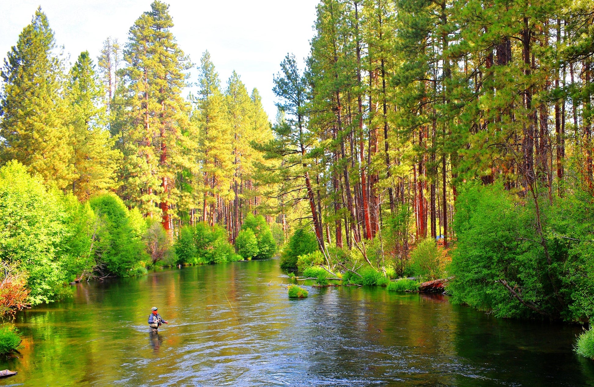 Tactical Tungsten Bead Head Copper John Euro Nymph Assortment Fly Fishing Flies - Collection of 9 Flies 3 Colors Hook Size 16