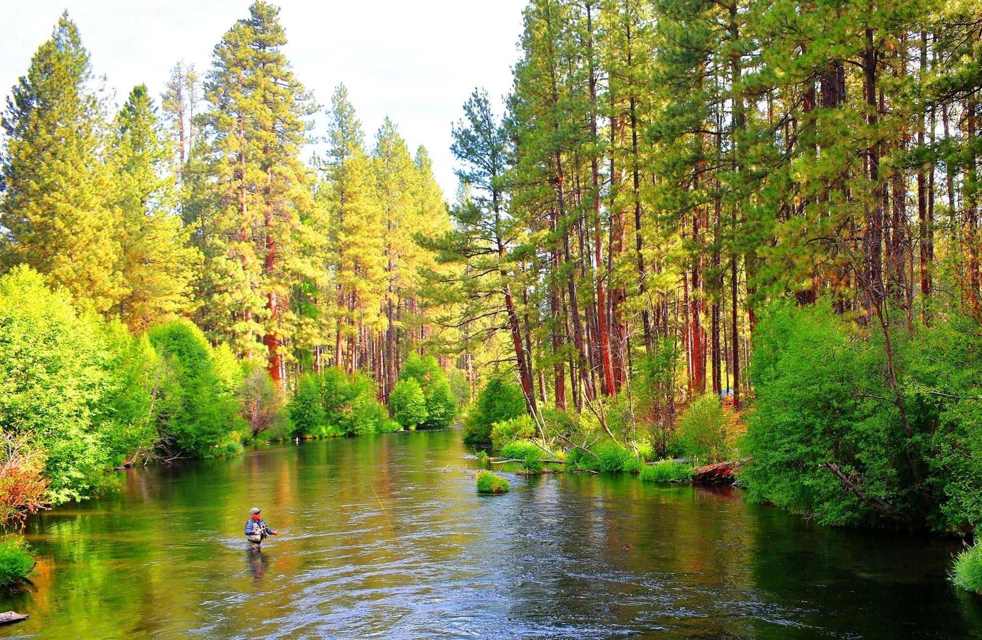Tactical Tungsten Bead Head Copper John Euro Nymph Assortment Fly Fishing Flies - Collection of 9 Flies 3 Colors Hook Size 14