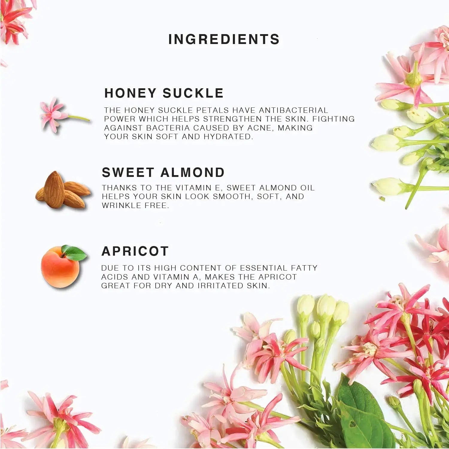 Provence Multi-Use Face, Body & Hair Oil - Hydrate & Restore with Apricot, Coconut Oil & Vitamin E