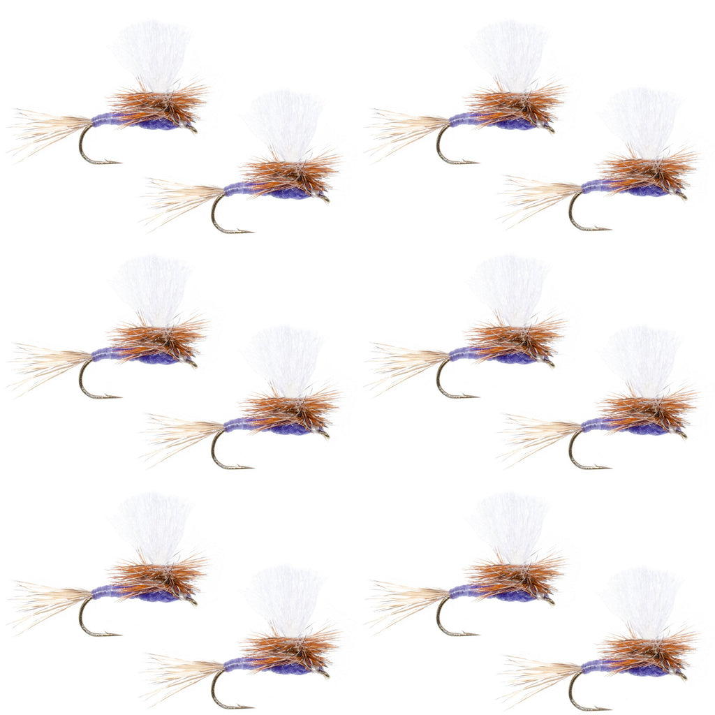 Parachute Purple Haze Dry Fly - 12 Flies Size 14