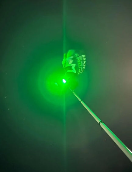 4’ Mwhips Bluetooth Color Changing Camp Locator