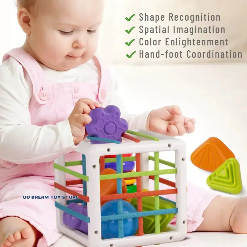 Sorting Game Colorful Shape Blocks