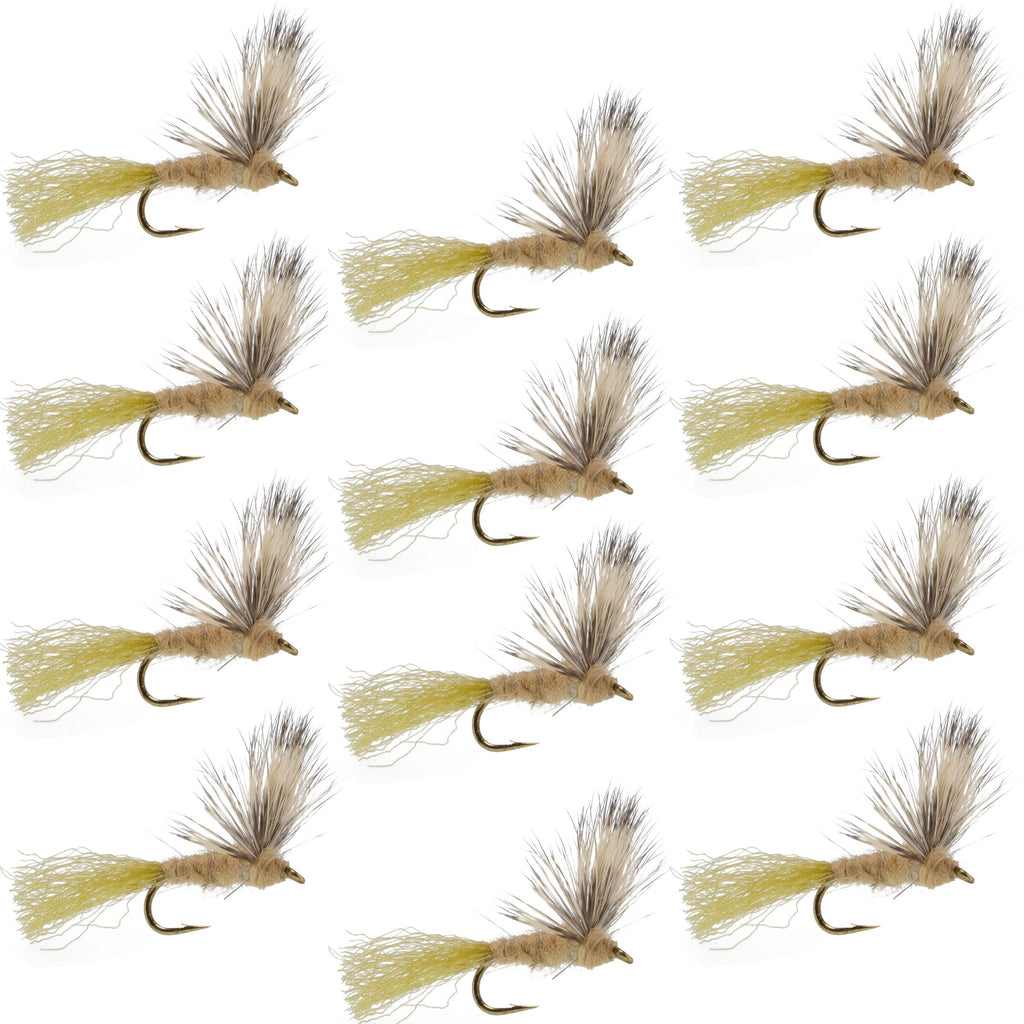 Sparkle Dun Callibaetis Mayfly - 12 Flies Hook size 16