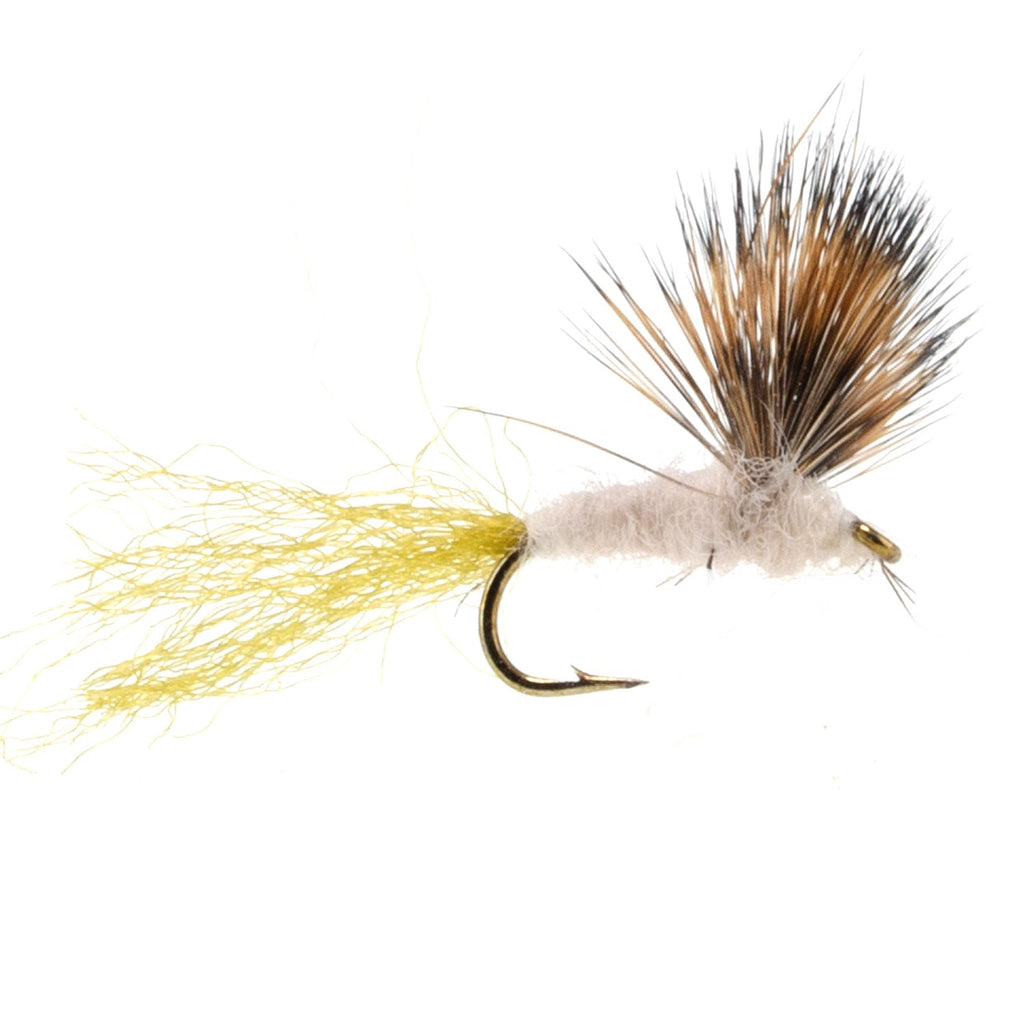 Sparkle Dun Pale Morning Dun PMD Mayfly 6 Flies Hook size 18
