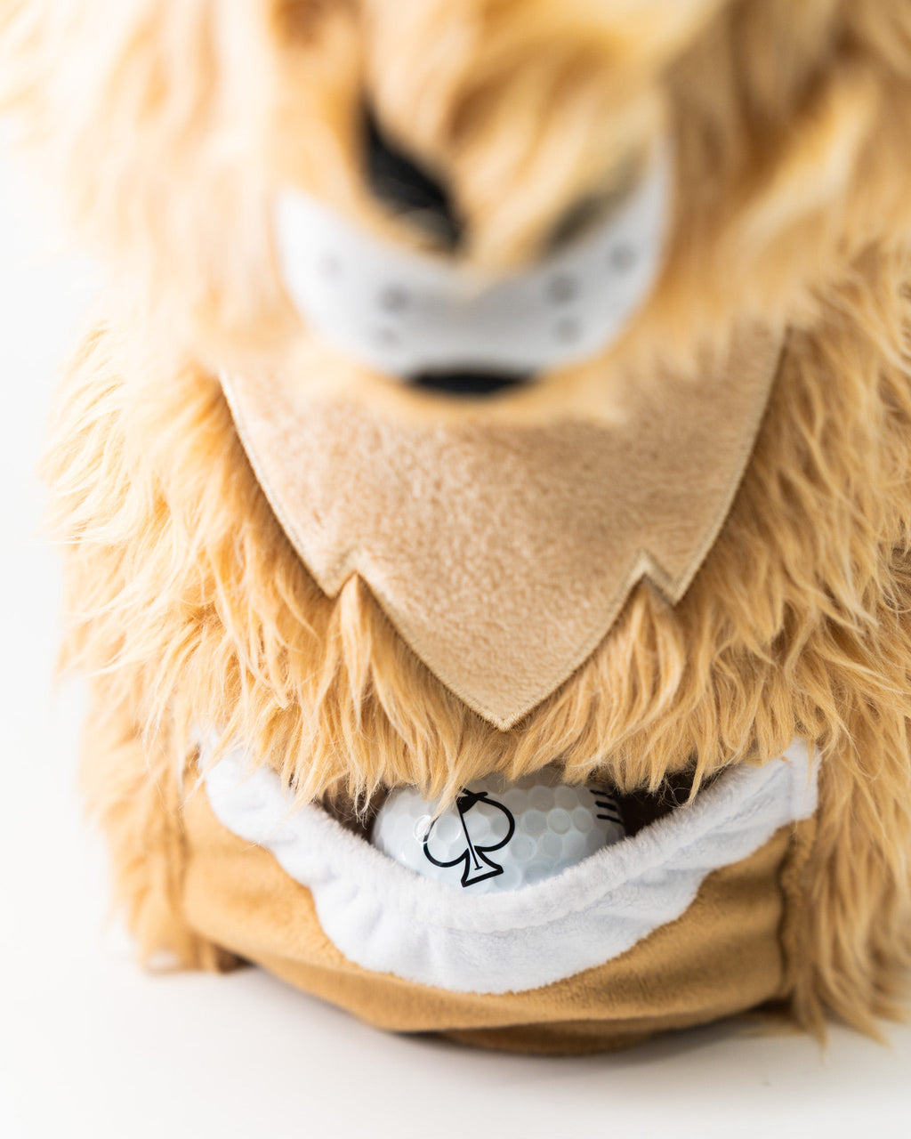 Kangaroo - Driver Cover