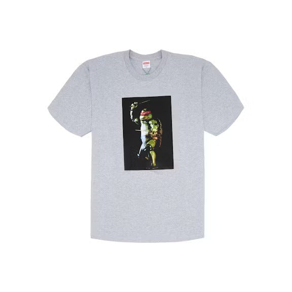 Supreme Raphael Tee Heather Grey