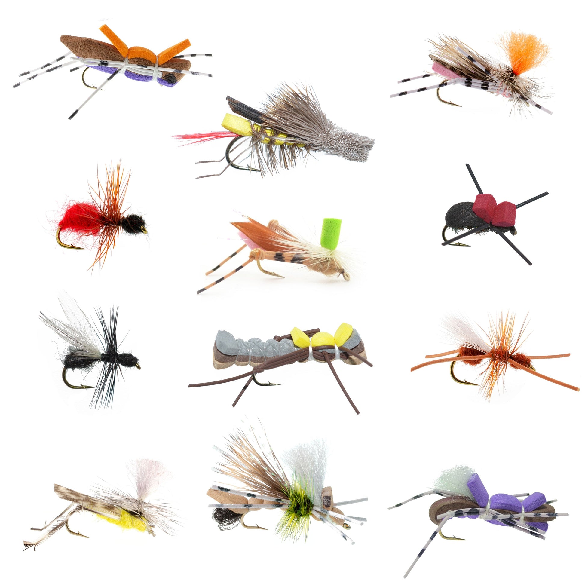 Trout Fly Assortment - Essential Terrestrials Fly Fishing Flies Collection - Includes Foam Hoppers, Ants, Beetles, and Cicadas - 1 Dozen Trout Flies with Fly Box