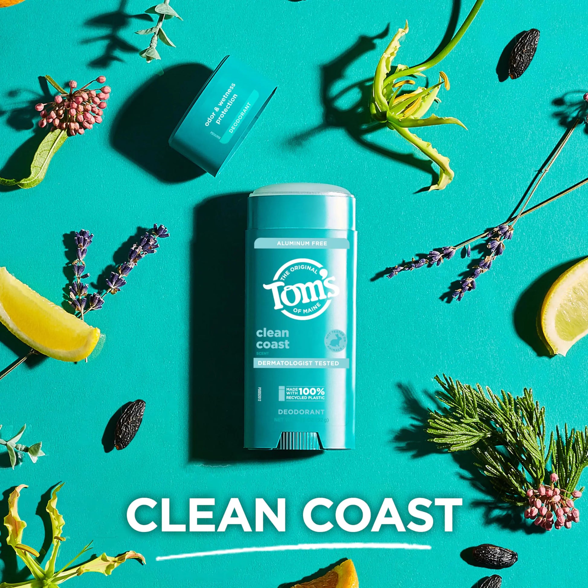 Tom’s of Maine Clean Coast Aluminum Free Natural Deodorant For Women & Men | Goes on Clear | Odor & Wetness Protection | Naturally Derived and Moisture-Locking Ingredients | 3.25 oz 3.25 Ounce (Pack of 1)