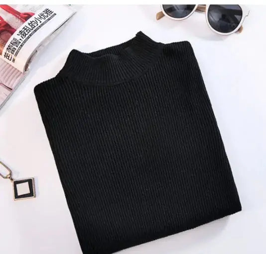 Wild Sweater Women’s Slim Fit Turtleneck Pullover