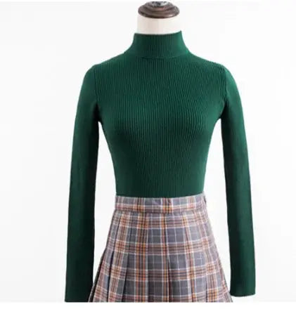 Wild Sweater Women’s Slim Fit Turtleneck Pullover
