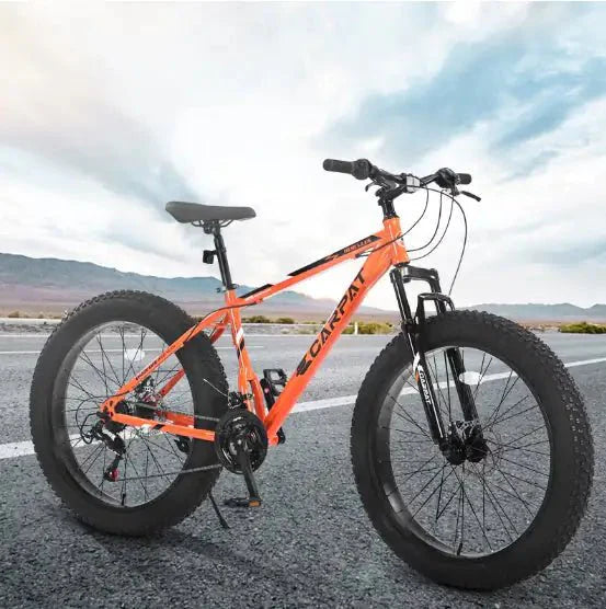 CARPAT Mountain Dirt Bikes
