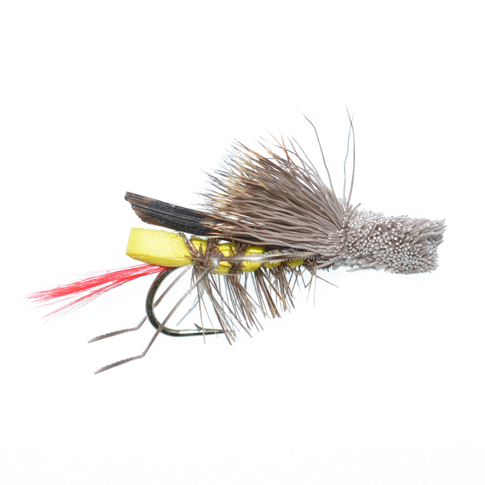 Trout Flies Assortment - 12 Flies for Trout Fly Fishing with Fly Box - Essential Dry and Wet Fly Selection