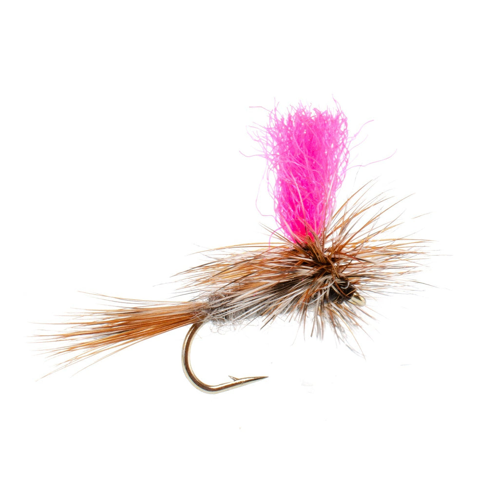 Eastern Trout Fly Assortment - 12 Essential Dry and Nymph Fly Fishing Flies Collection - Trout Flies with Gift Fly Box