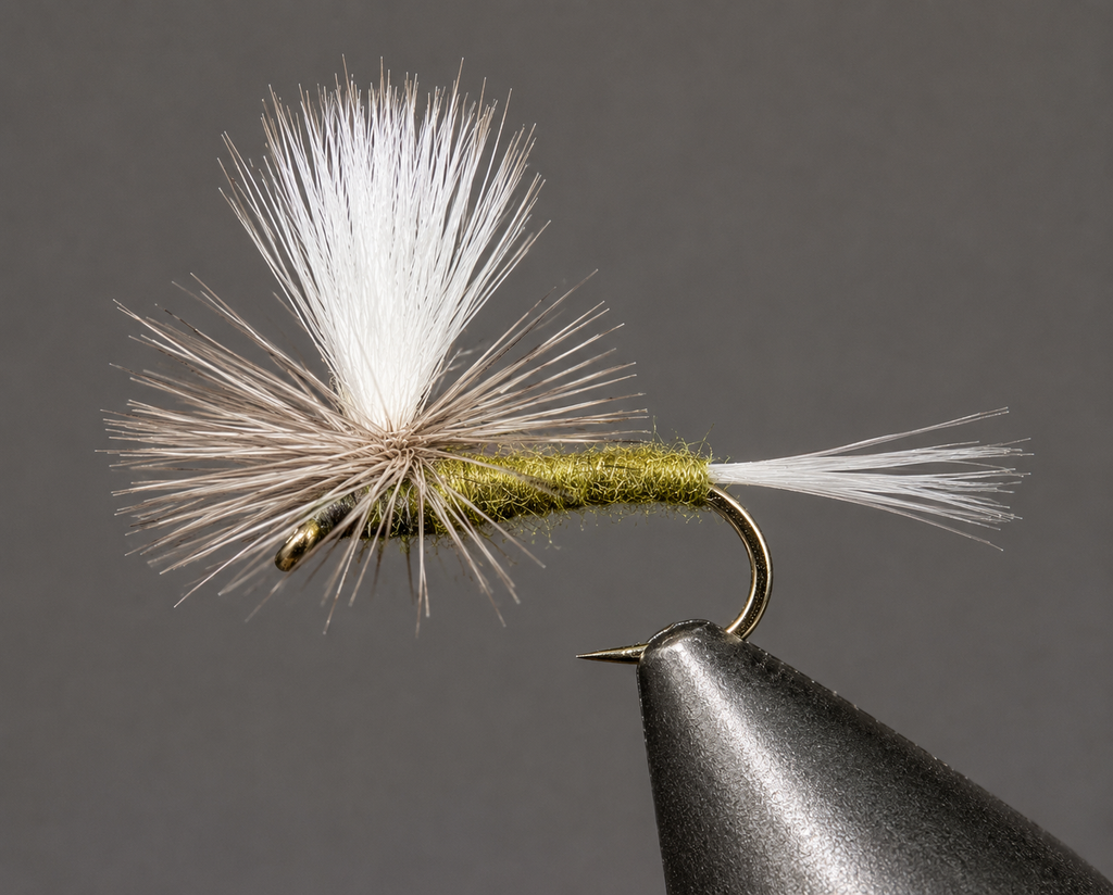 Blue Wing Olive - Parachute