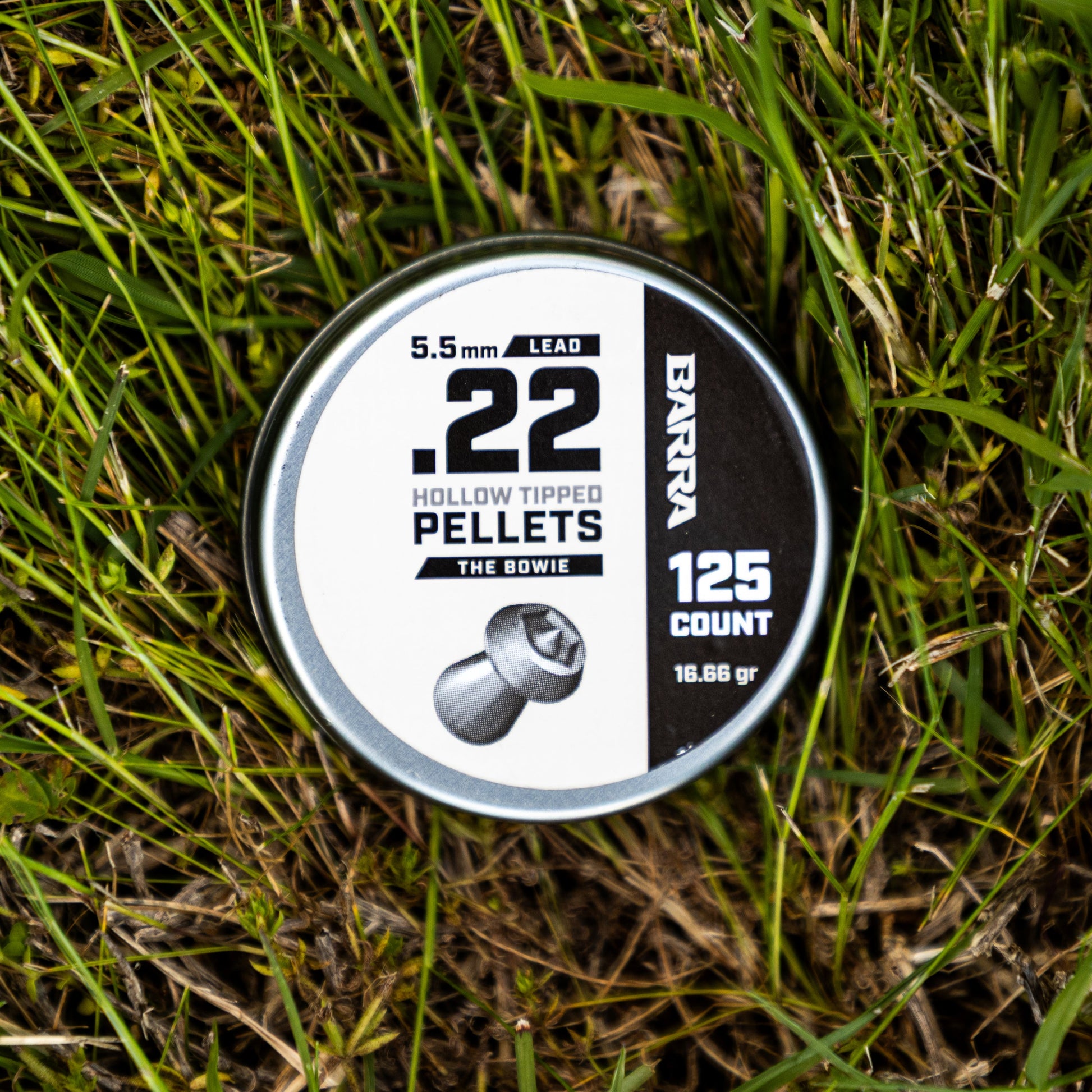 Bowie Hollow Tipped .22 Caliber Pellets - 125 Count