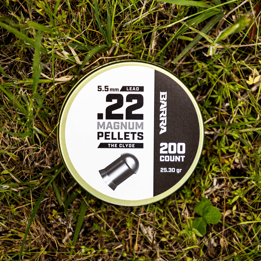 Clyde Heavy .22 Caliber Pellets - 200 Count