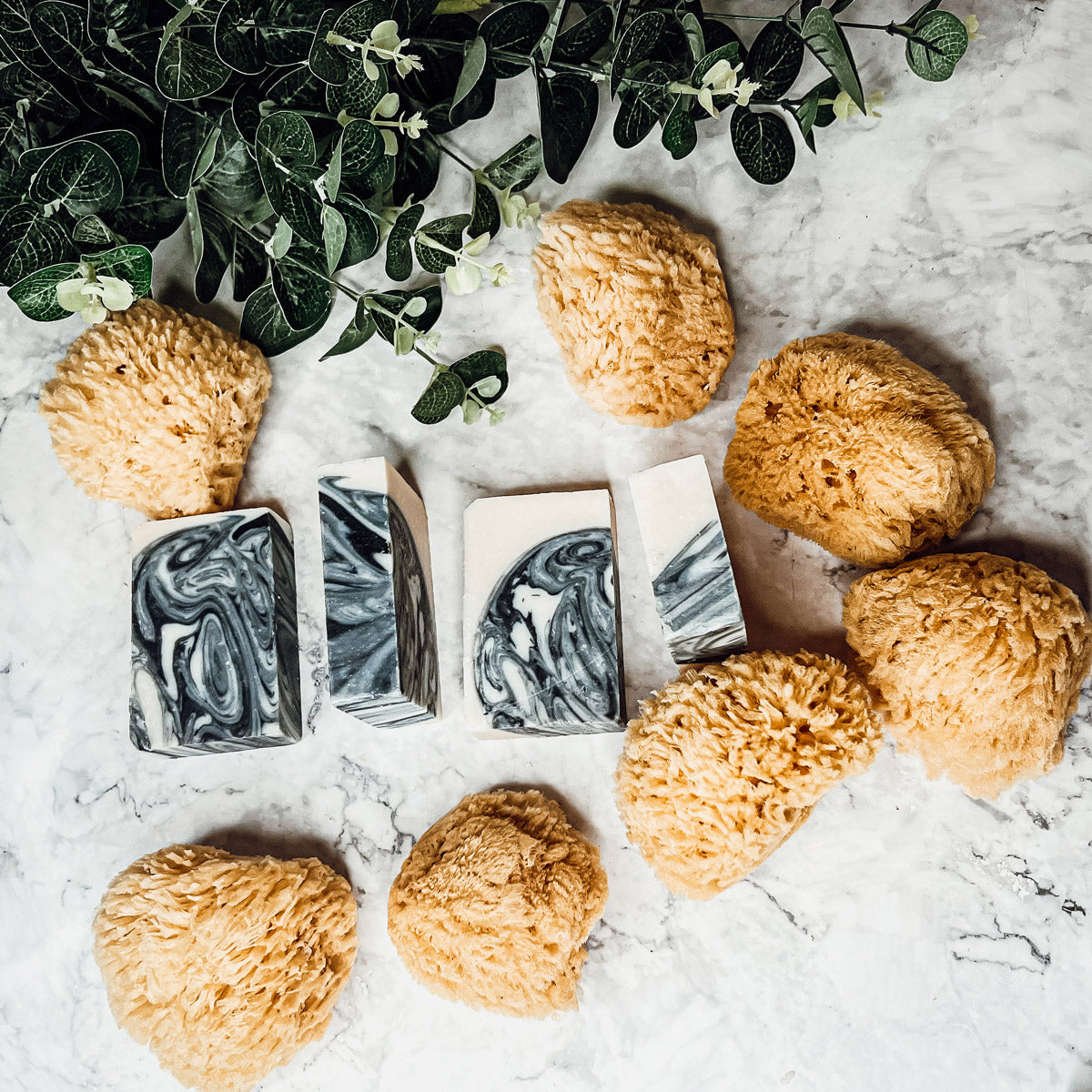 Dead Sea Natural Bath Sponge 3-4 Inch Exfoliating Cleansing Soft Skin