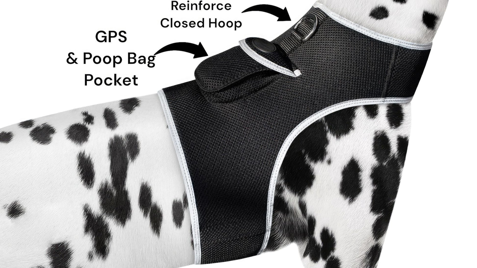Pet Realtime Surveillance w/ Pet Tracker GPS Tracking Chip for Dogs + App Size:M