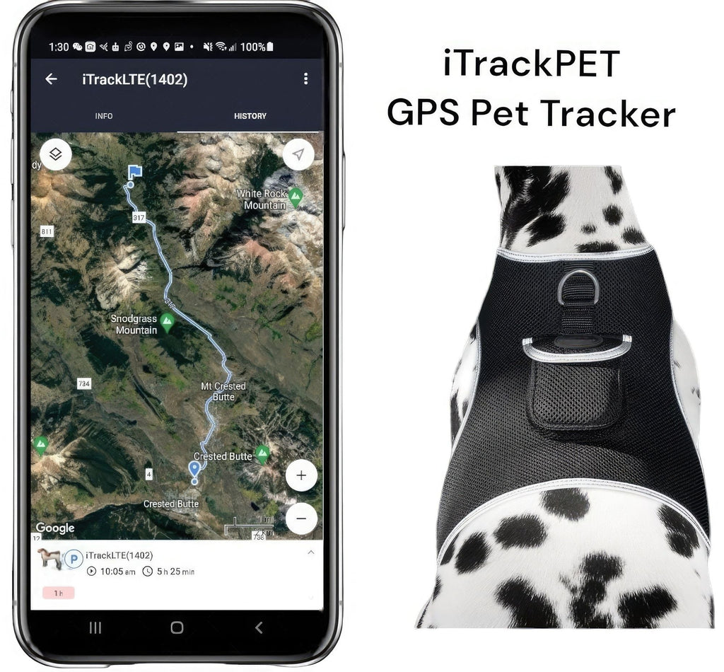 Pet Realtime Surveillance w/ Pet Tracker GPS Tracking Chip for Dogs + App Size:M