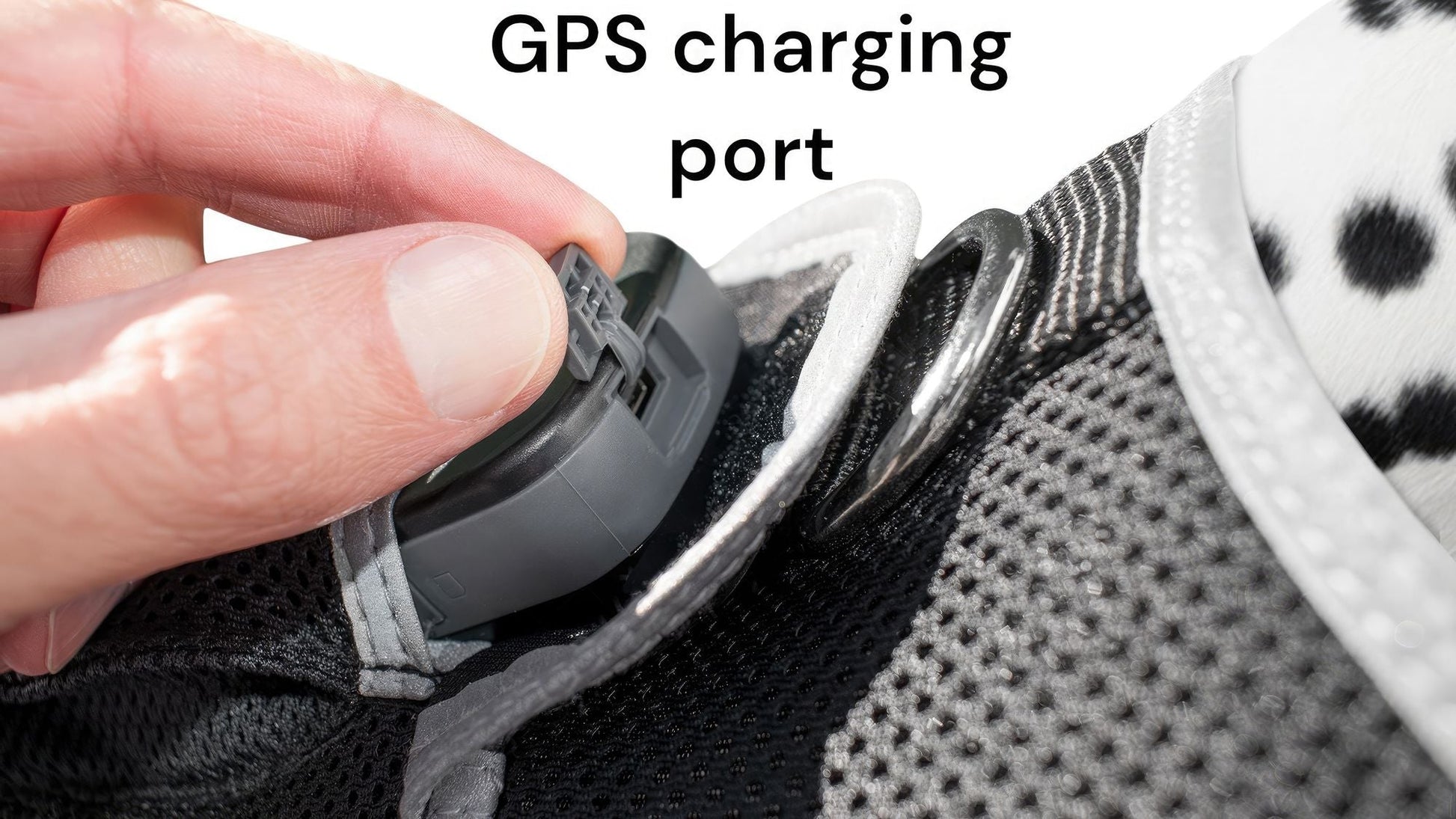 Pet Realtime Surveillance w/ Pet Tracker GPS Tracking Chip for Dogs + App Size:M