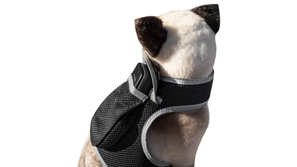 Pet Realtime Surveillance w/ Pet Tracker GPS Tracking Chip for Dogs + App Size:M