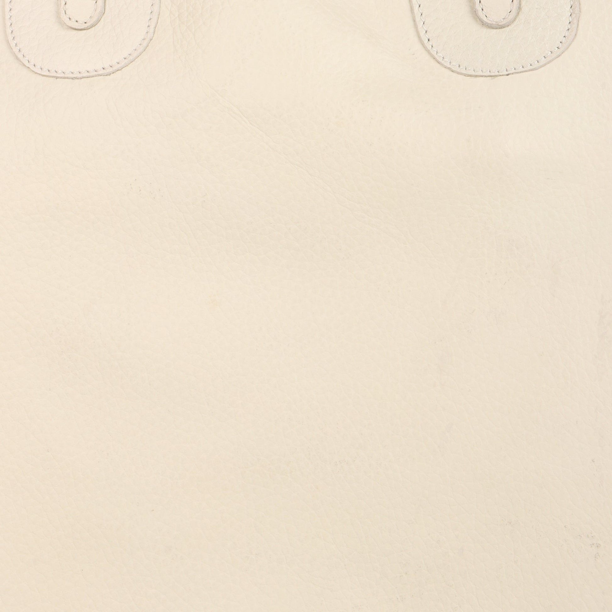 Em Sustainable Leather Tote Bag