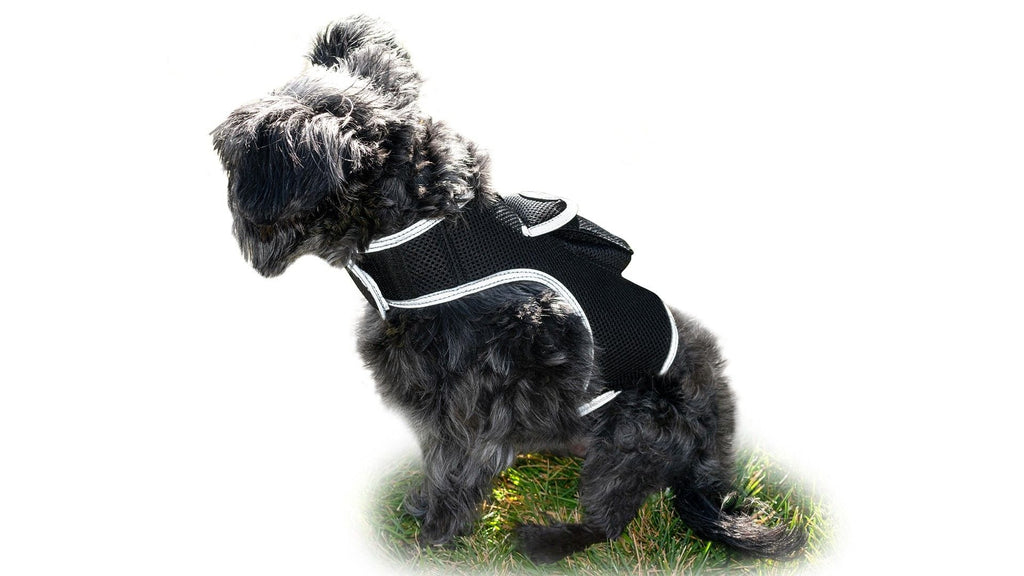 Consistent Realtime Mini Cat Dog GPS Tracking Collar Waterproof Device Size:L