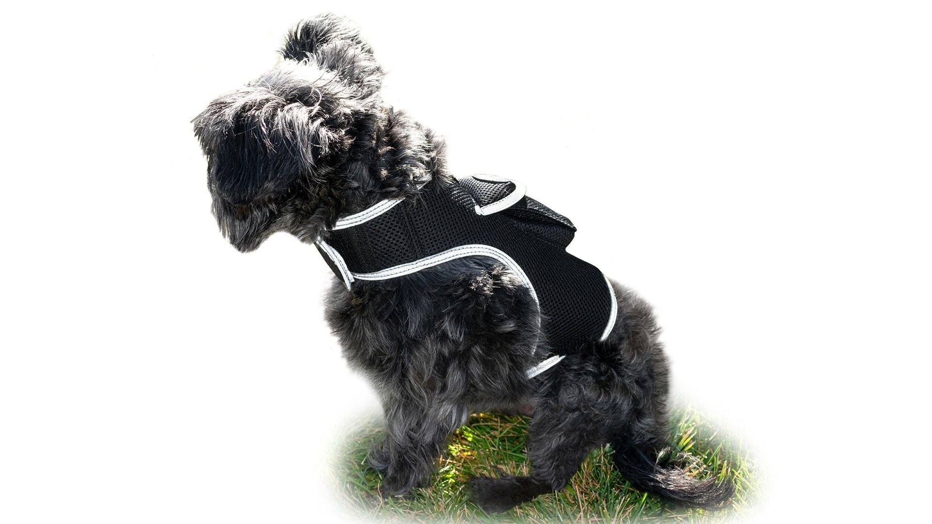Consistent Realtime Mini Cat Dog GPS Tracking Collar Waterproof Device Size:L