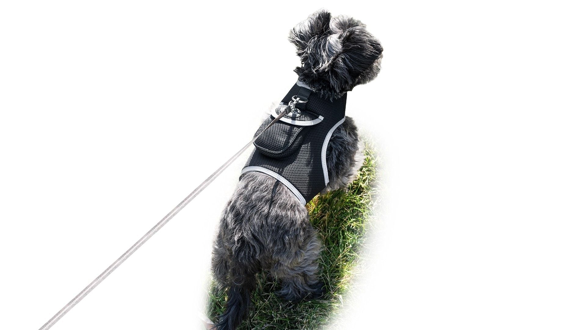 Collar Rechargeable Portable GPS Tracking Devices for Pets GSM Locator Size:S